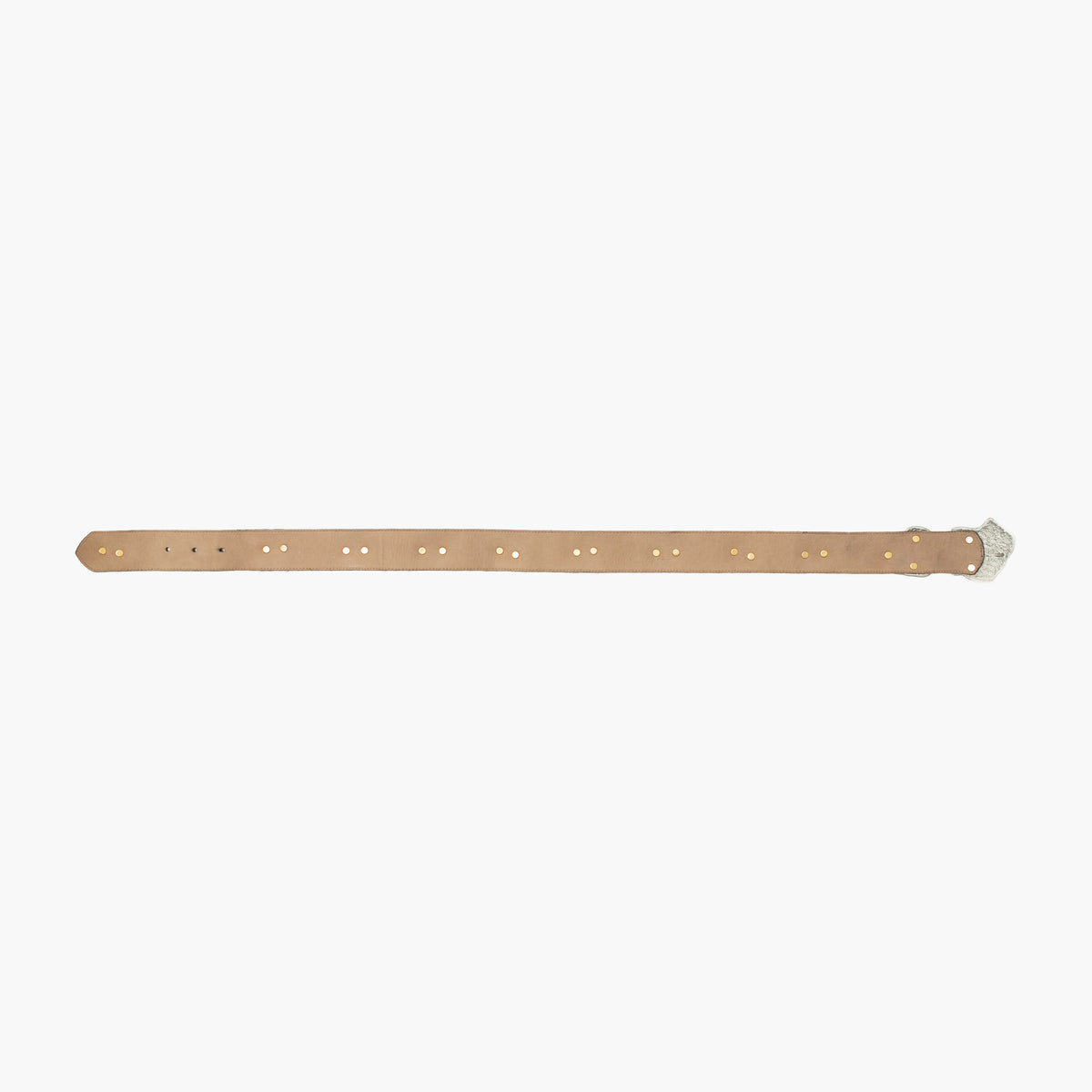 Carlos Falchi Belt (Women's) [Size: Small/24-28]