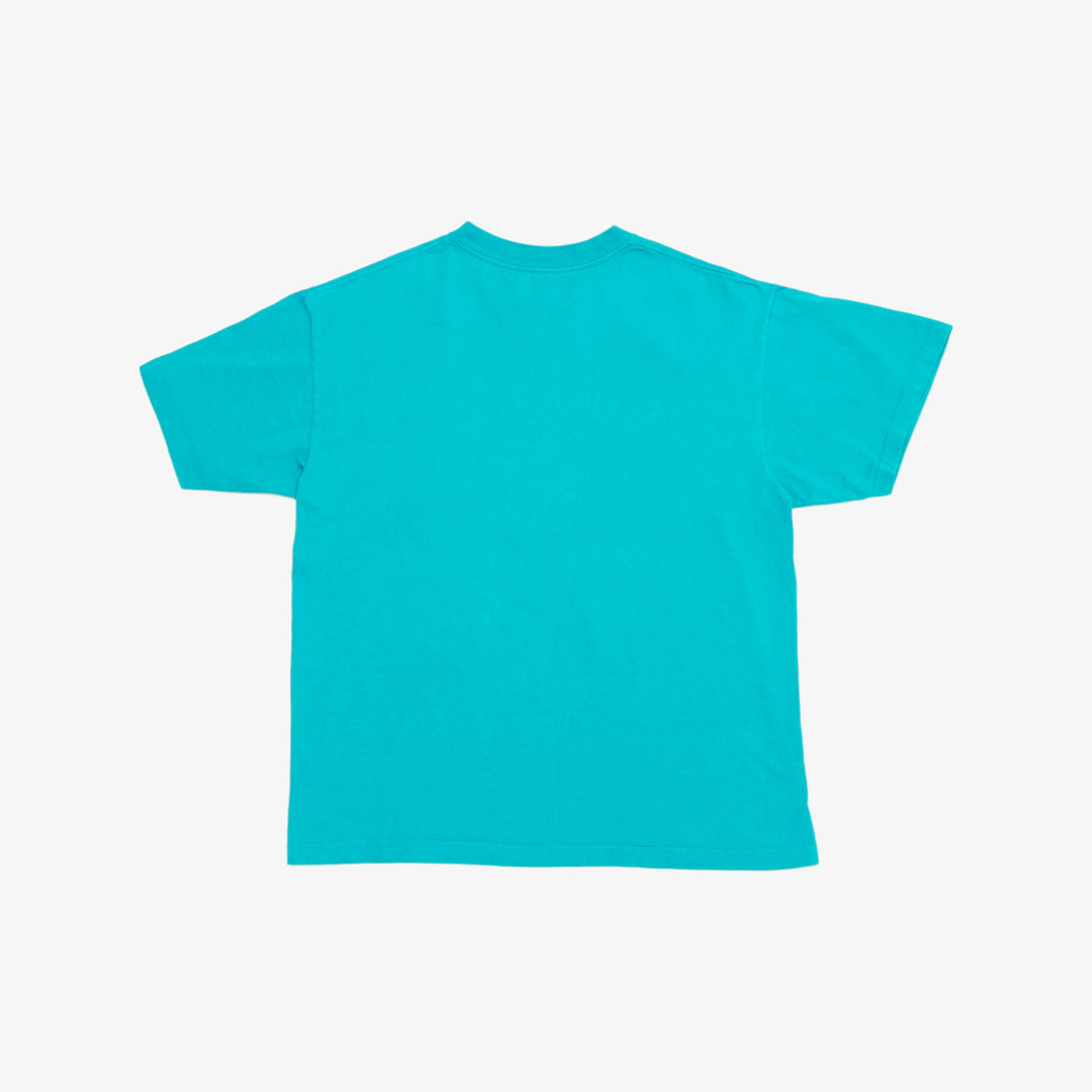 Dolphins T-Shirt [Size: Large]