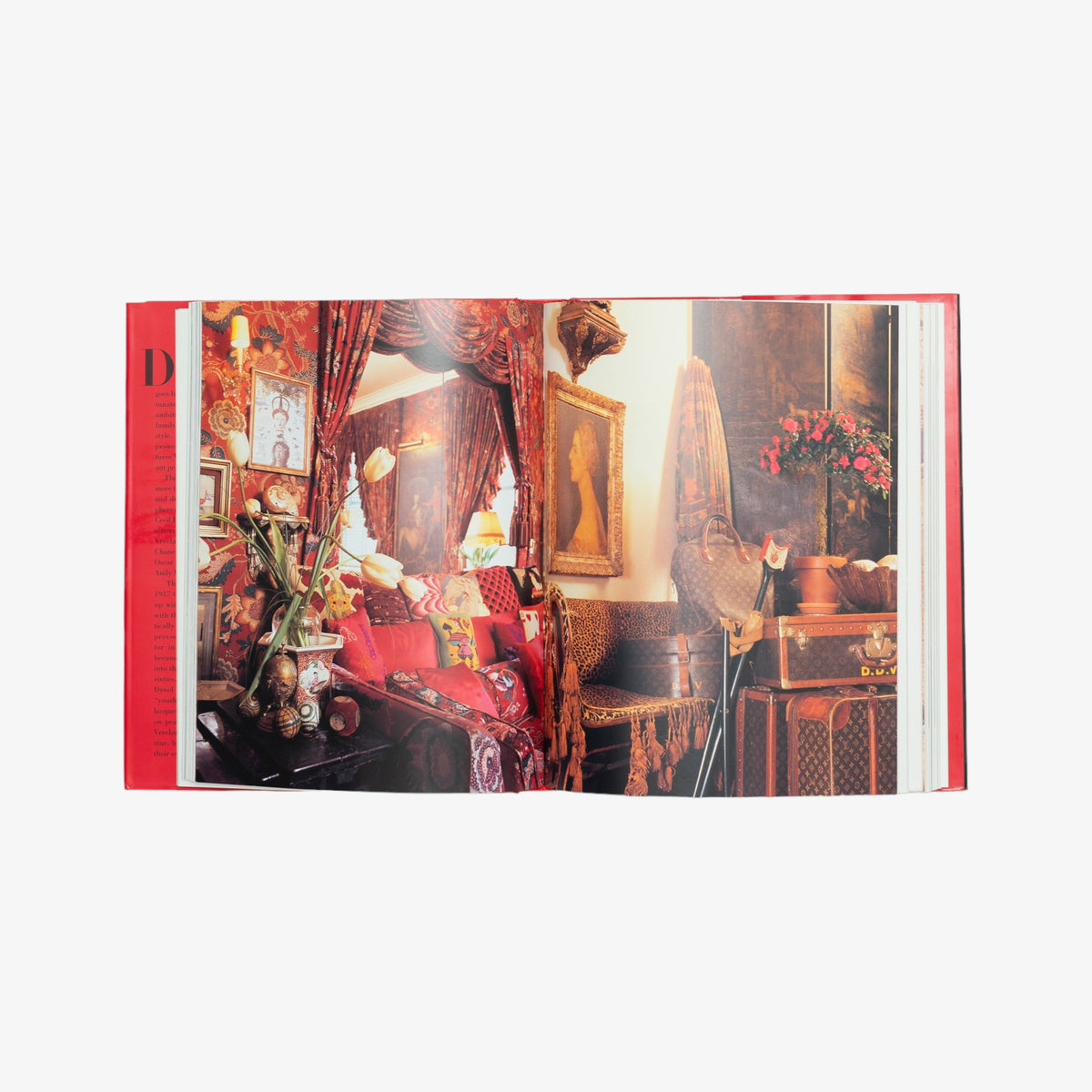 Diana Vreeland Book