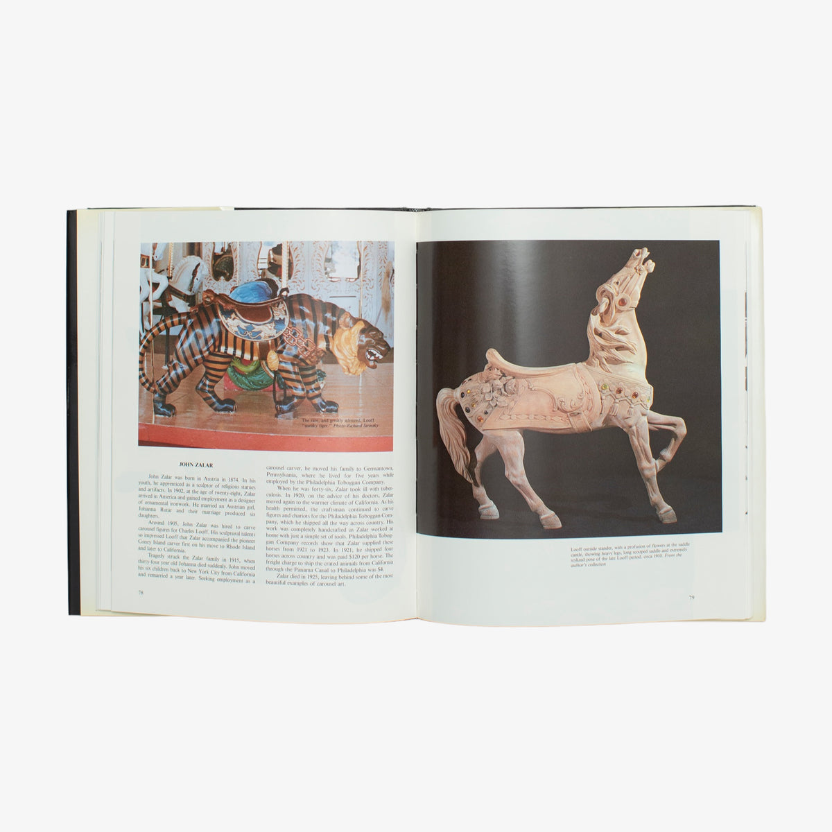 Art Of The Carousel Book